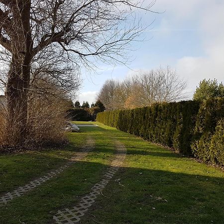 Ruegenherz Piratenhaus Parchtitz Exteriér fotografie